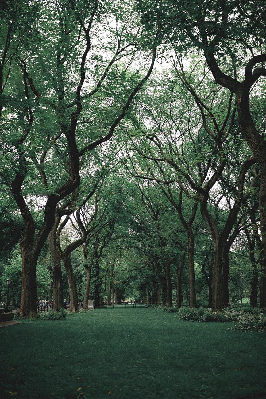 Park