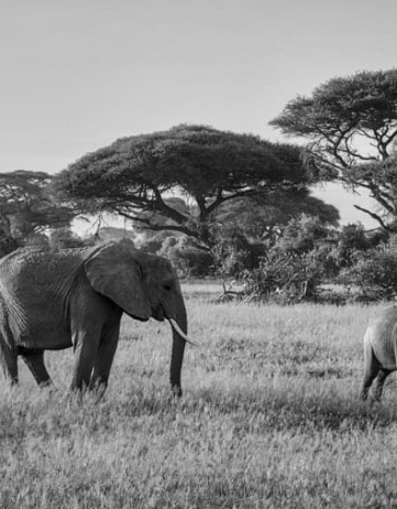 アフリカの隠れた宝石：知られざる国立公園