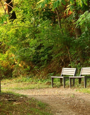 公園を訪れることが、旅先での体験を変える方法