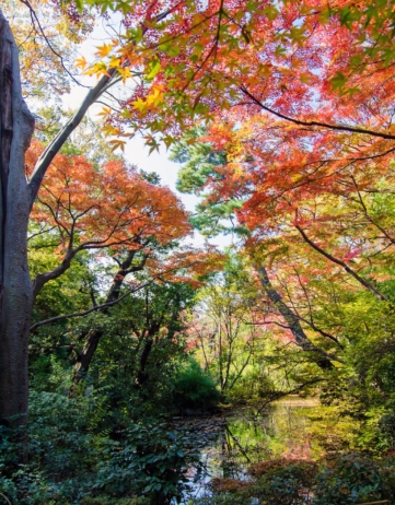 世界最高の公園をめぐる旅